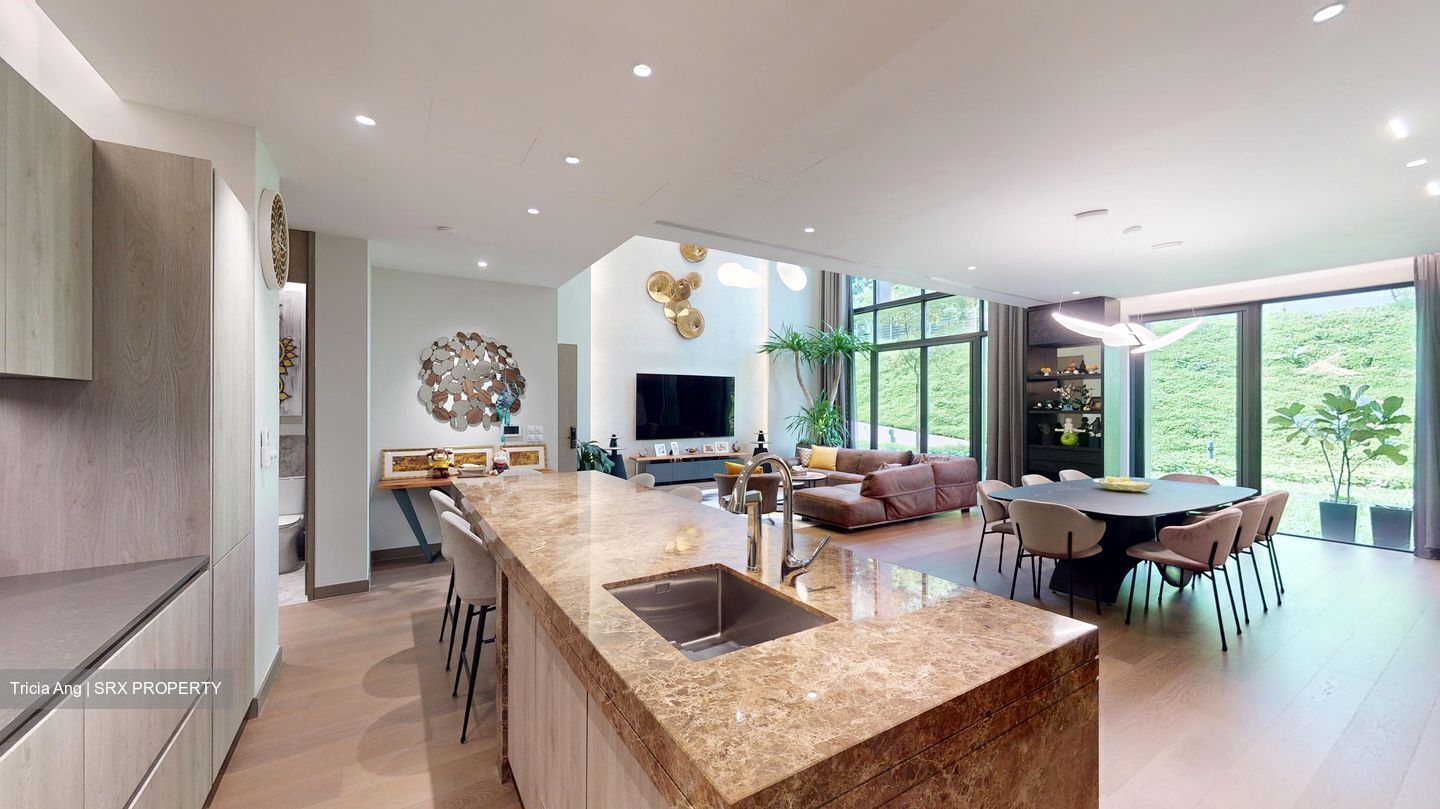 Dalvey Haus (D10), Condominium #436387341